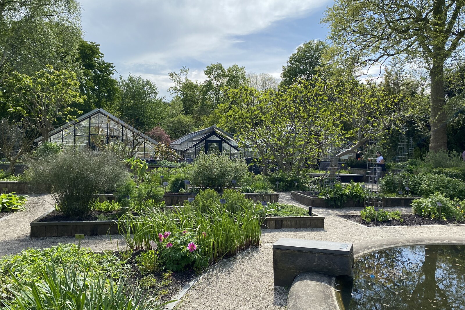The glass greenhouses of the botanical garden in Amsterdam