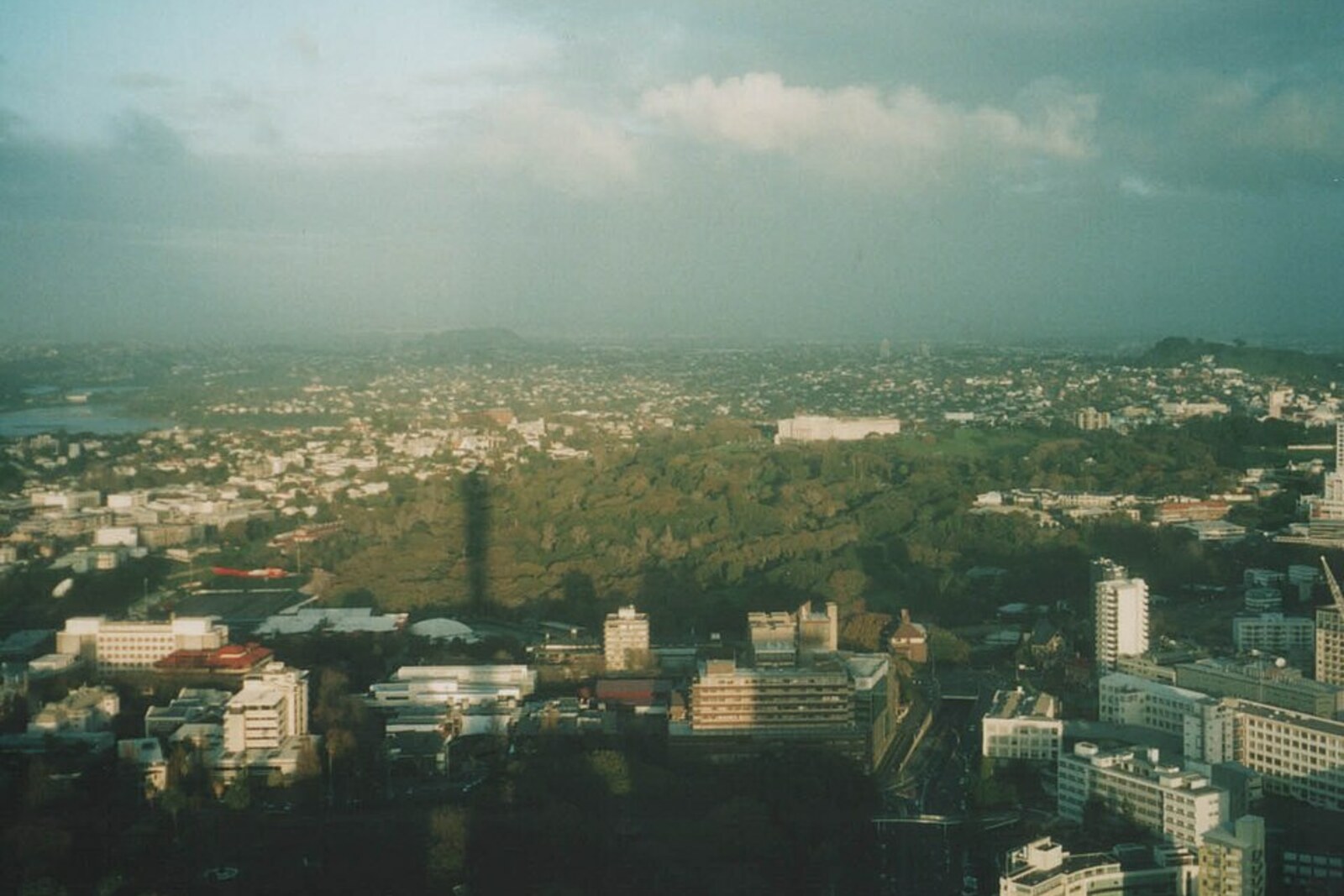 Auckland Domain park landscape