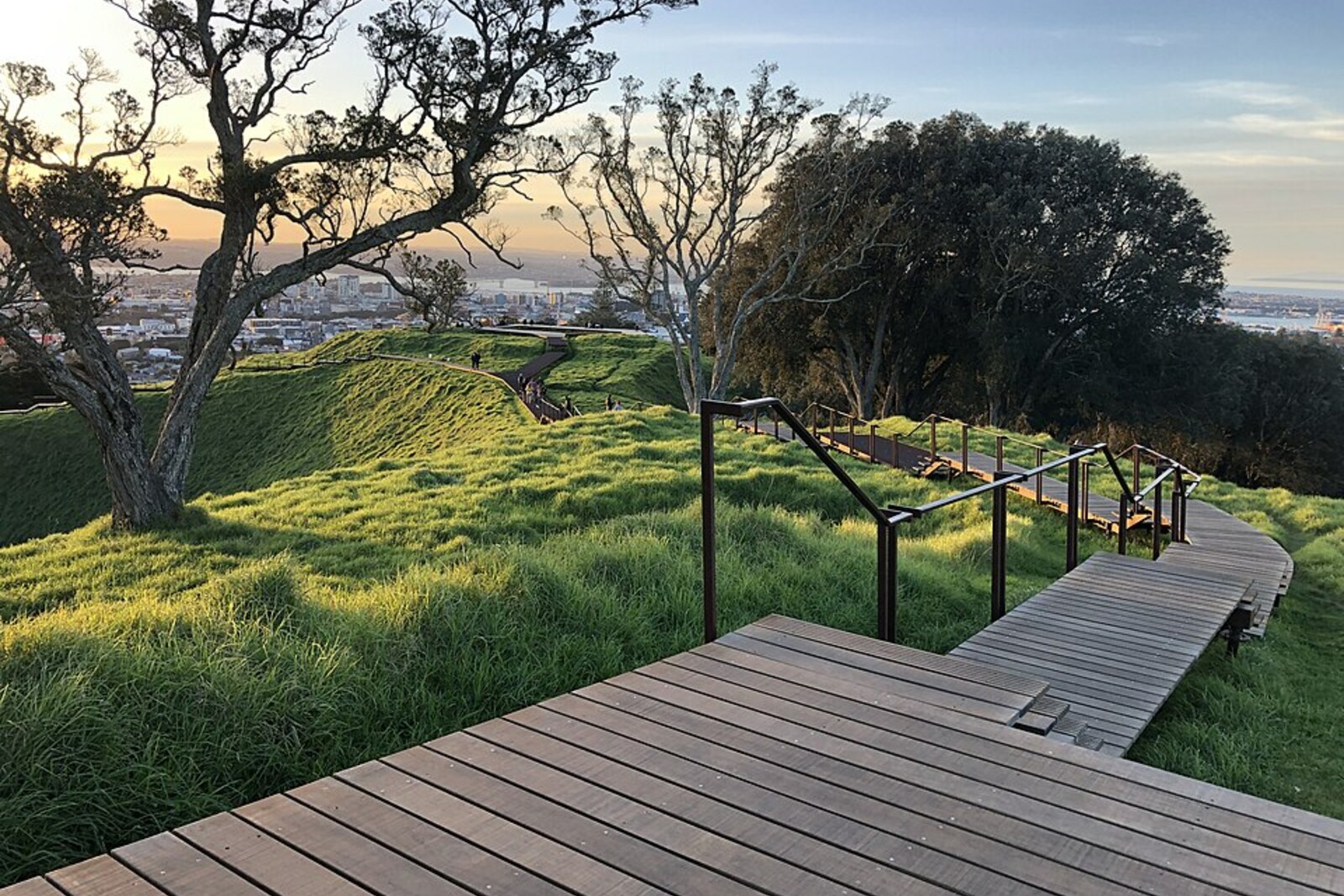 Maungawhau / Mt Eden Boardwalk East