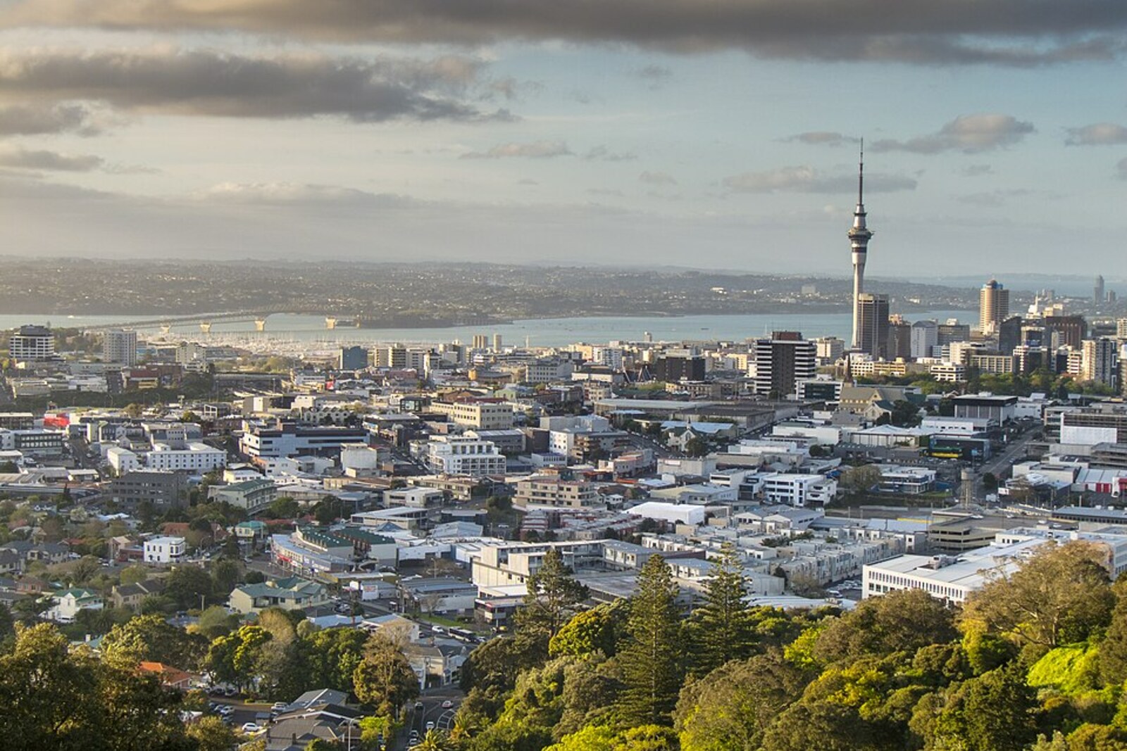 View of Auckland City Centre from Mount Eden