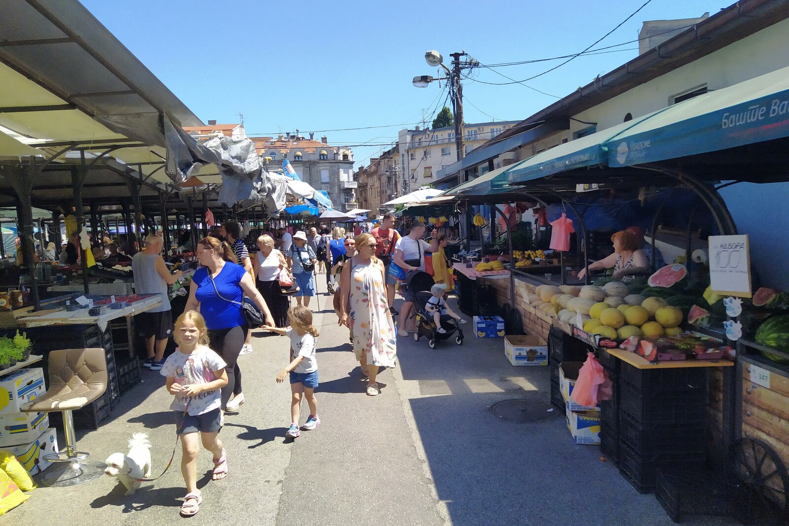 Stalls and people at Bajloni Market in Belgrade
