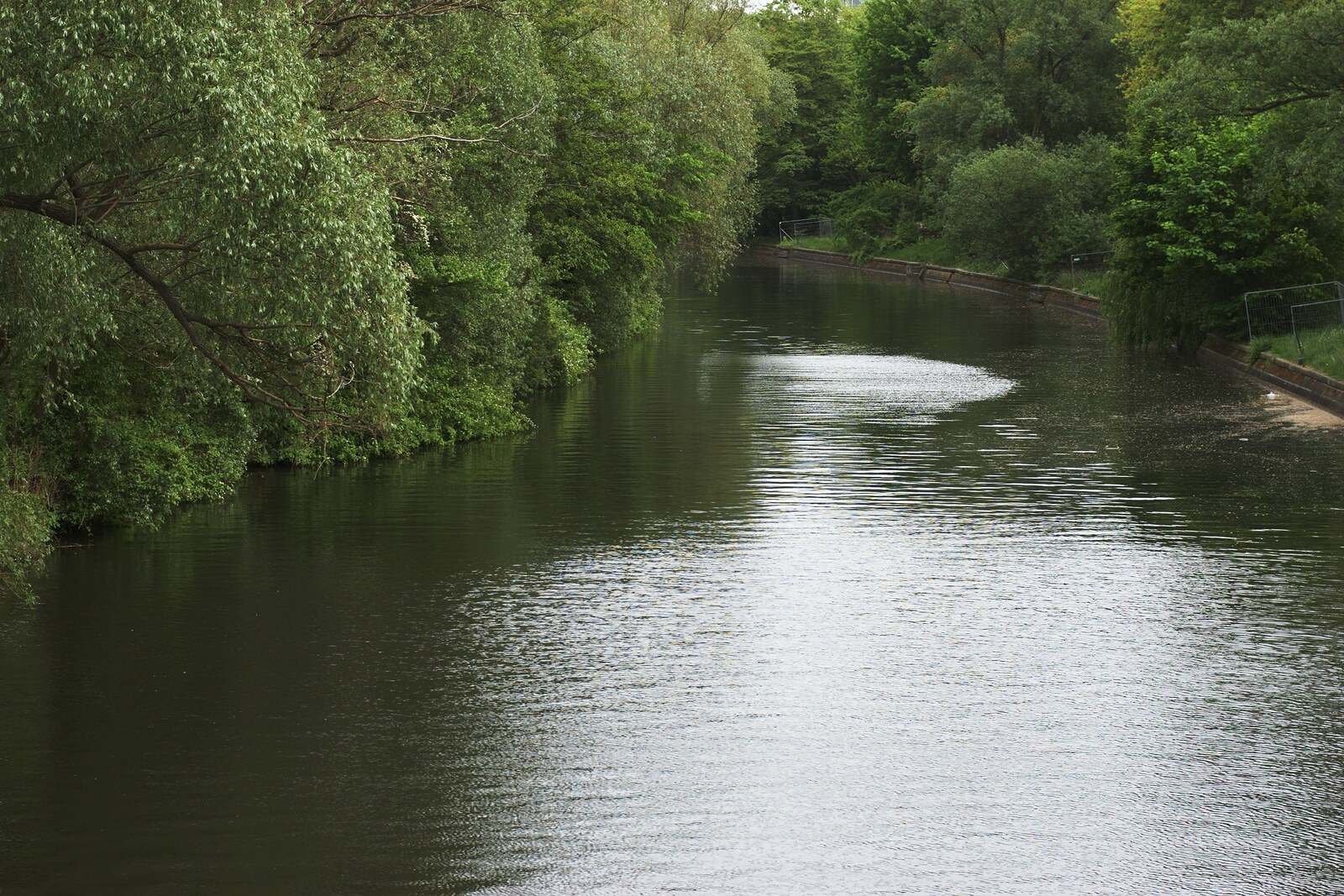 Green banks of the Landwehr Canal in Kreuzberg