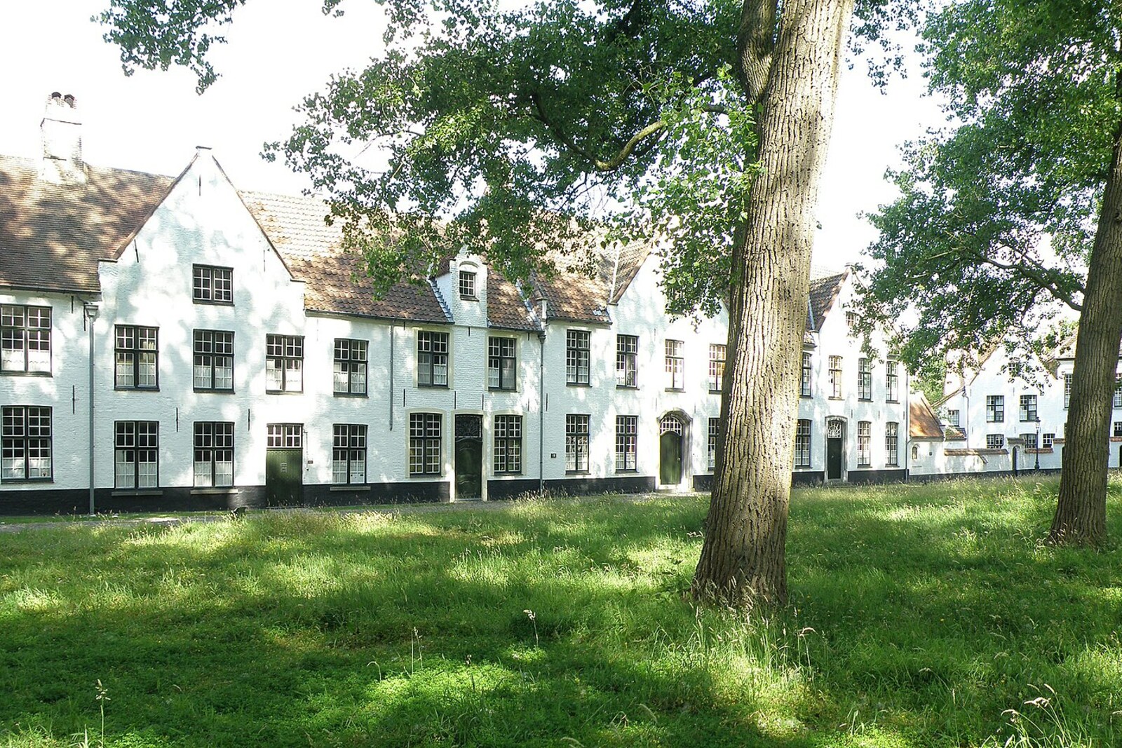 White houses around the green courtyard of the beguinage in Bruges, with grass and trees