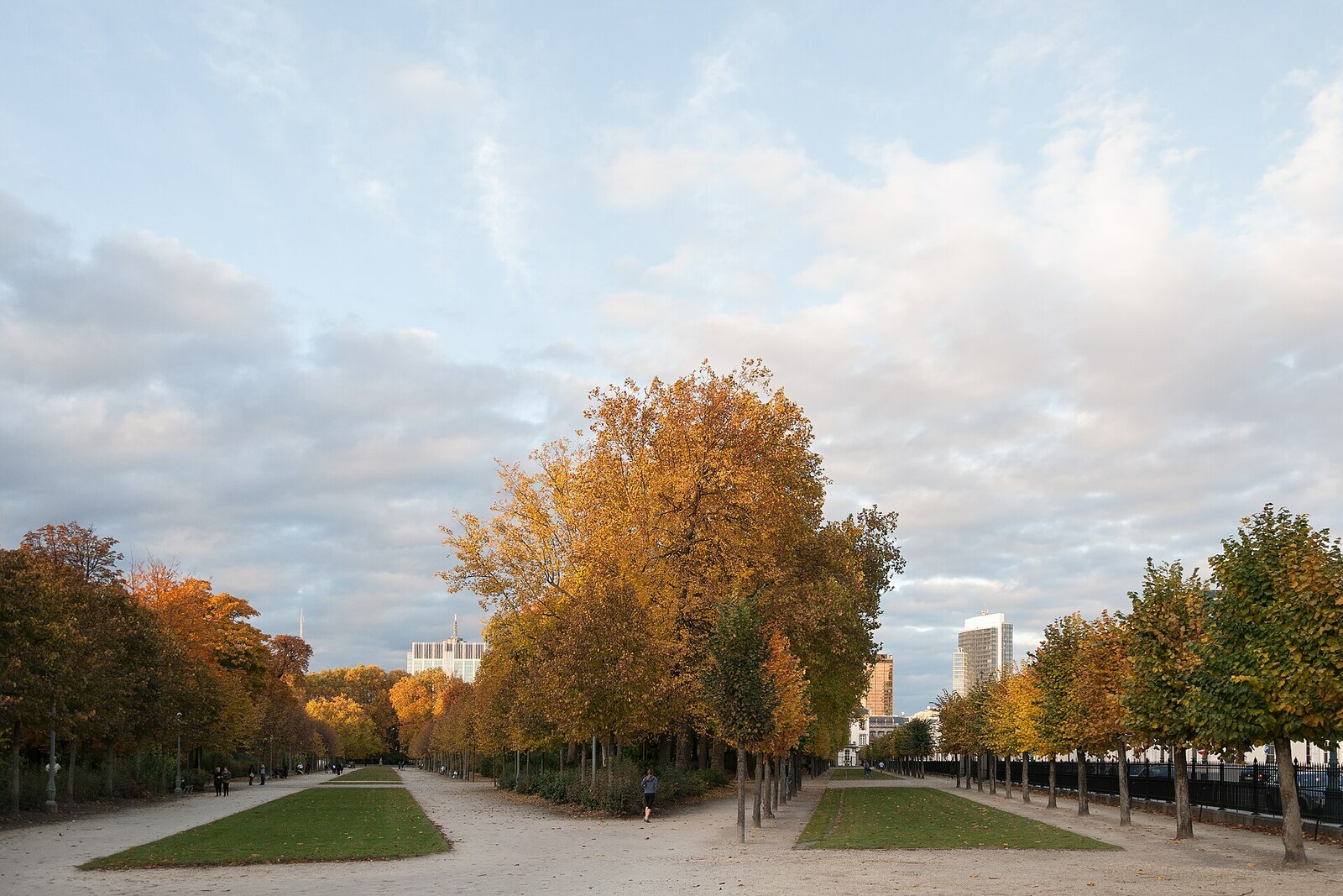Tree-lined avenues of Brussels Park