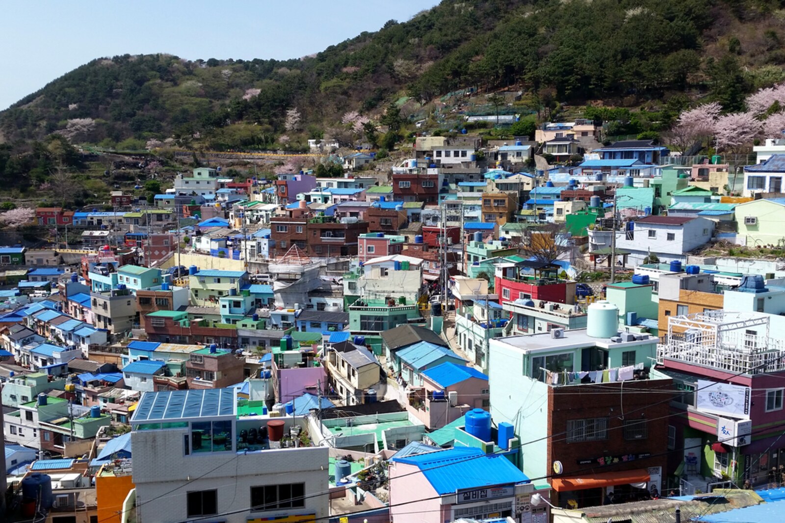 A hilly panorama of Gamcheon with colorful houses and a view of the harbor.
