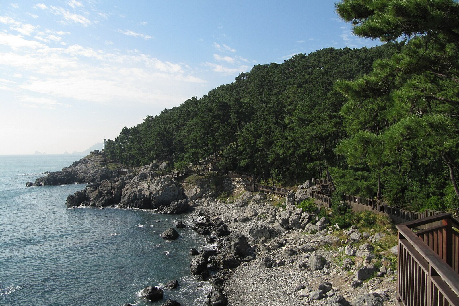 A wooden coastal trail on Dongbaekseom Island among pines and rocks above the sea.