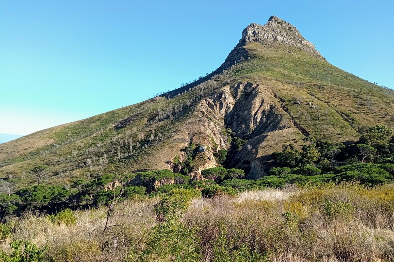 View from the Pipe Track toward the slope of Lion’s Head and fynbos; context for the Slangolie section, not a photo of Woodhead Tunnel.
