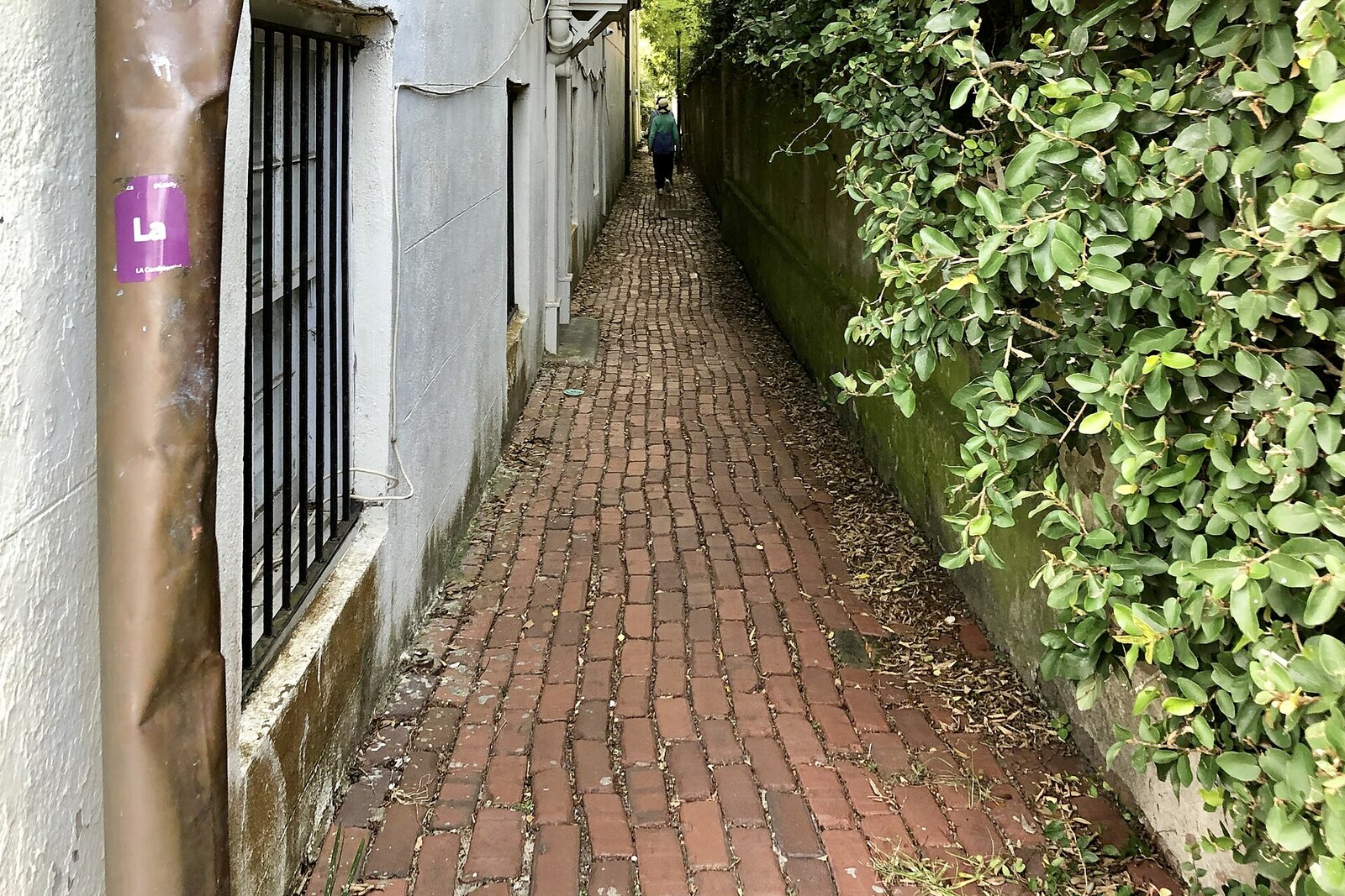 Brick Stoll's Alley in South of Broad, Charleston.