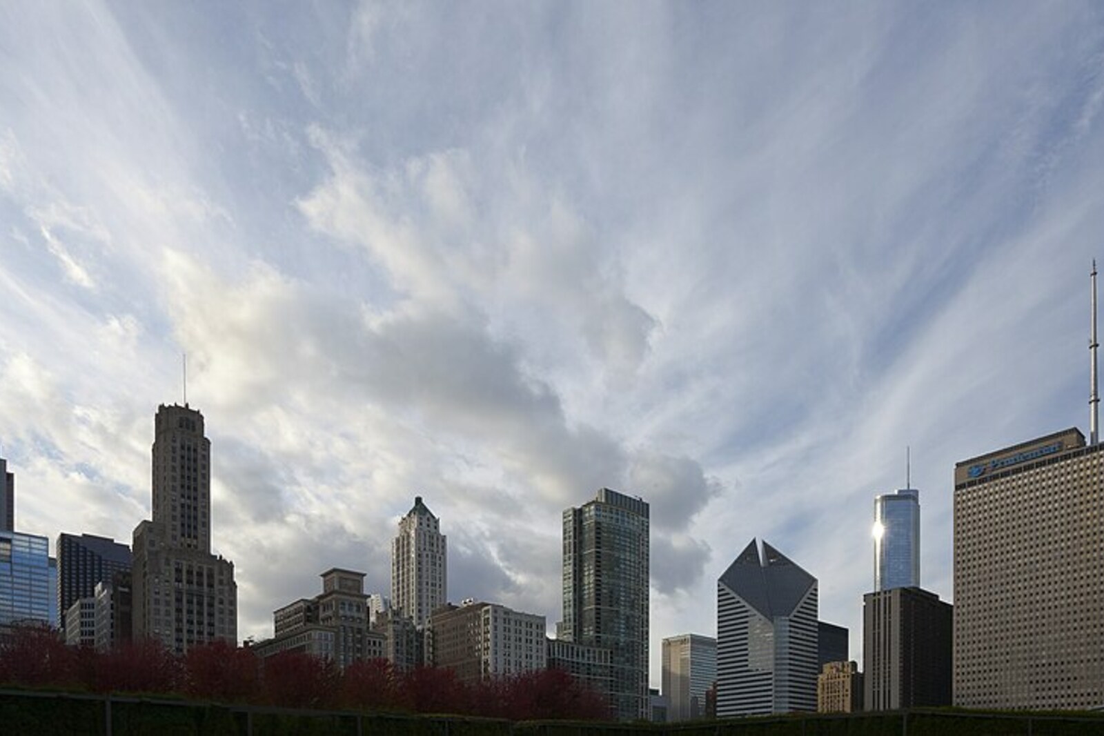 Lurie Garden in Millennium Park, with plantings and skyscrapers.