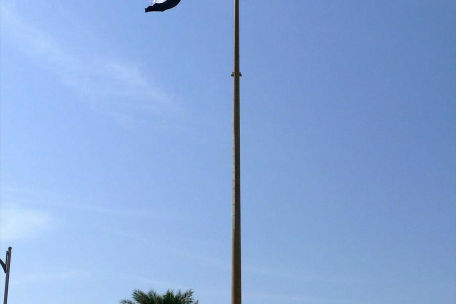 A tall flagpole with the UAE flag waving against a blue sky and palm trees