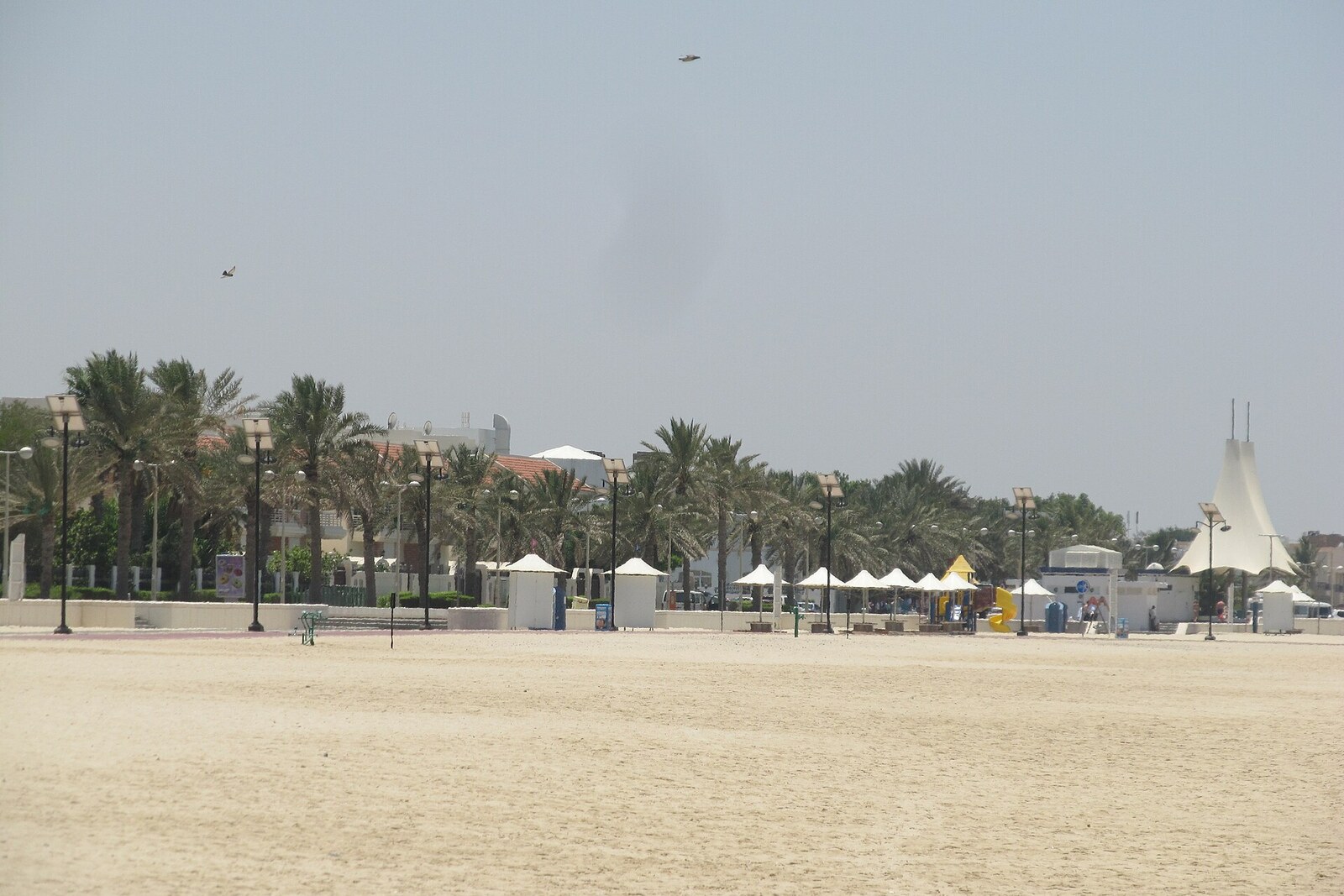 A wide sandy Jumeirah Beach with palm trees and infrastructure in the background