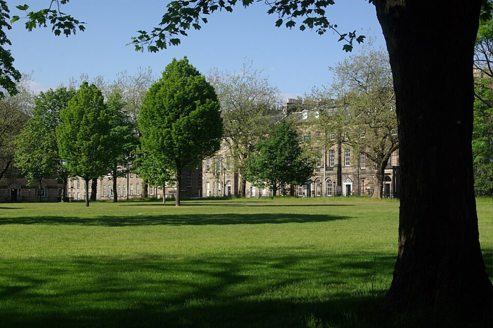 Charlotte Square: a green lawn is surrounded by pale Georgian houses and trees.