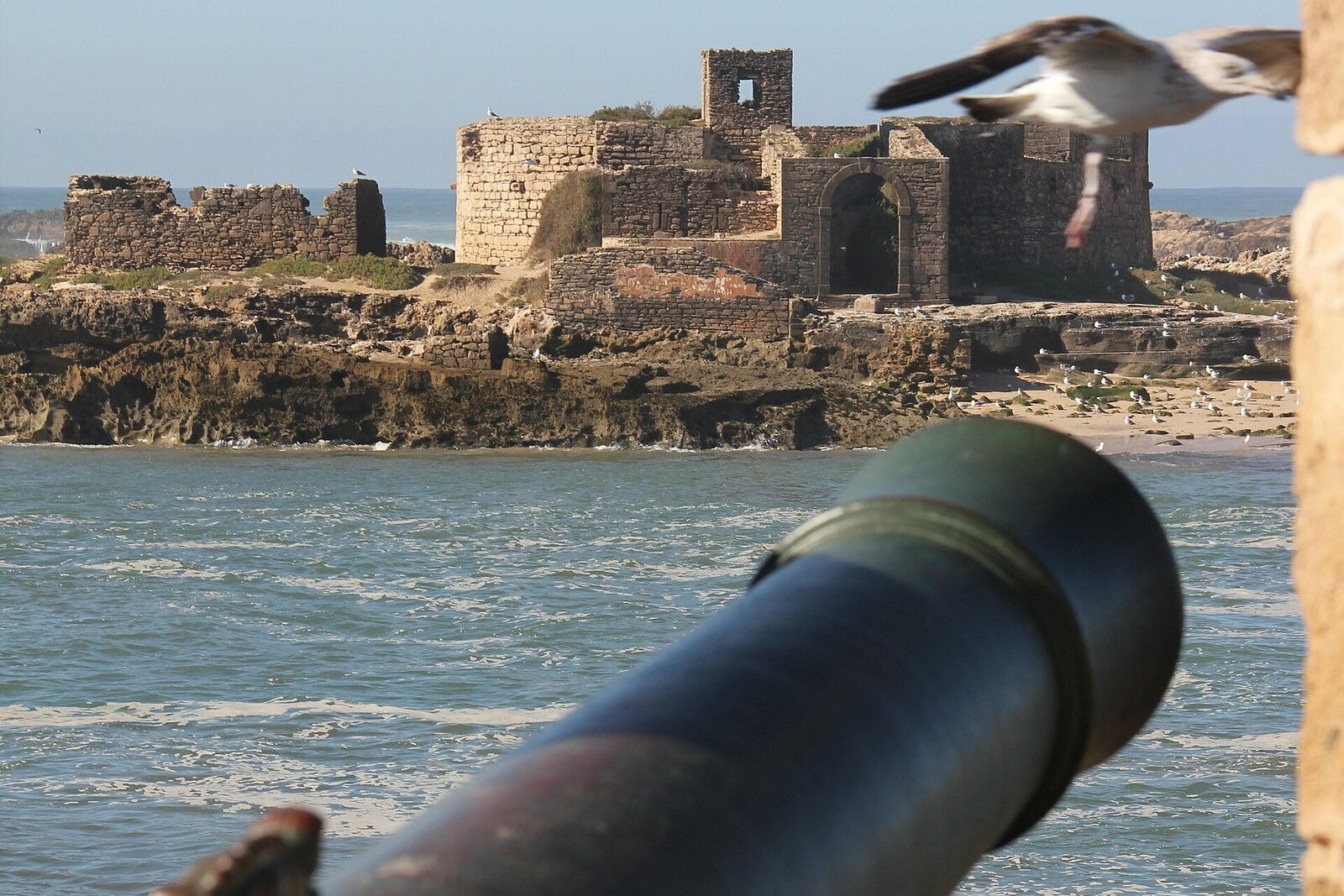Bronze cannons on the seaward battery of Sqala de la Ville.