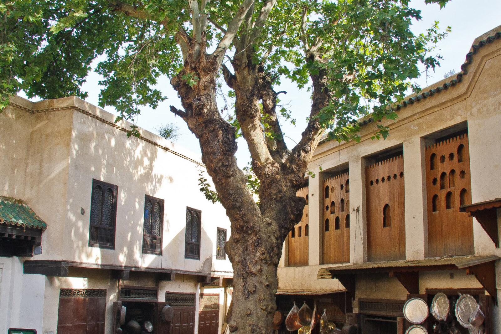 Craftsmen hammer patterns into copper basins in Seffarine Square beneath a large tree