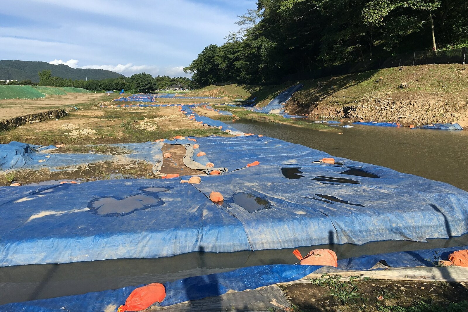 An archaeological site on the grounds of Wolseong Palace.