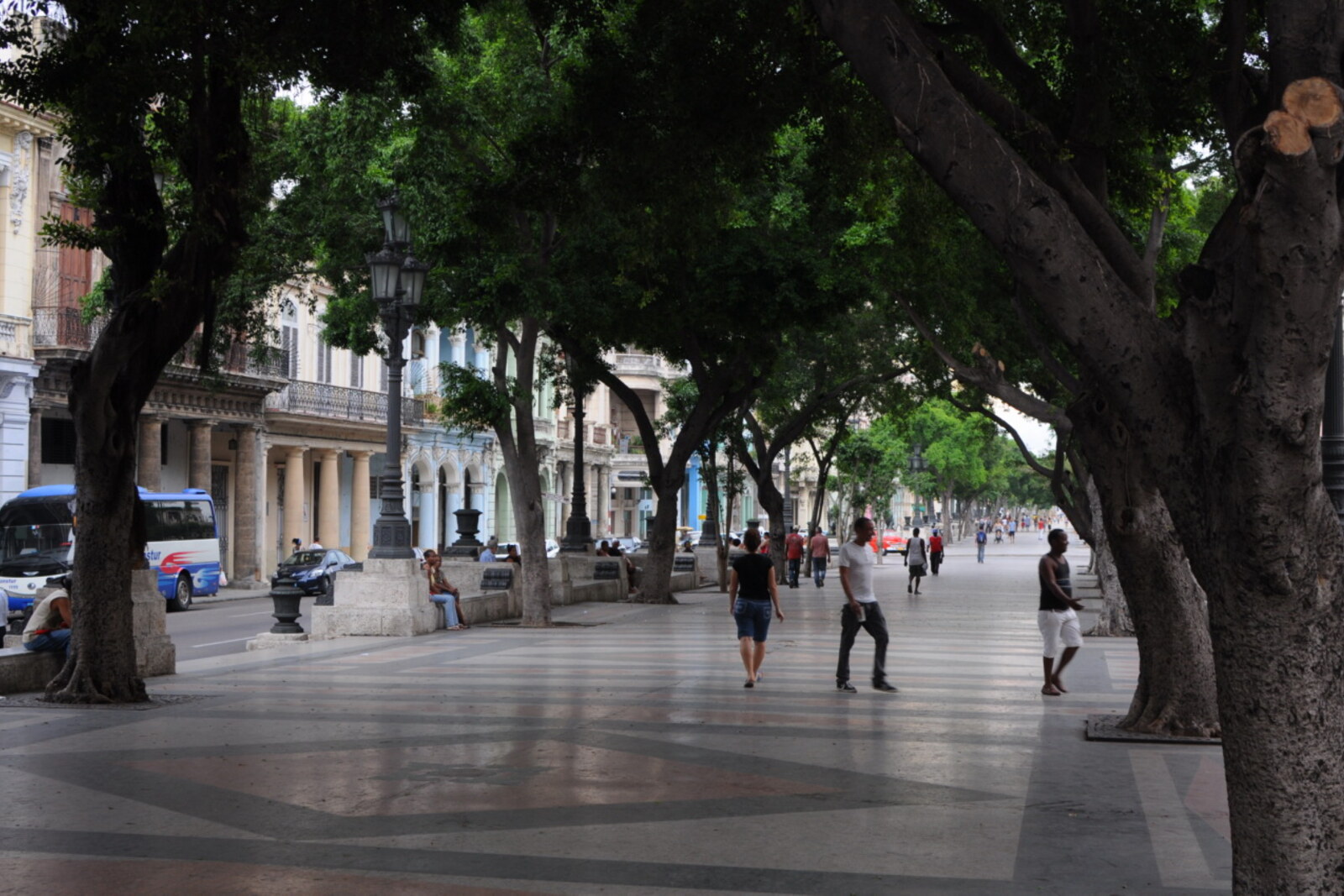 The Prado promenade with marble benches and bronze lions