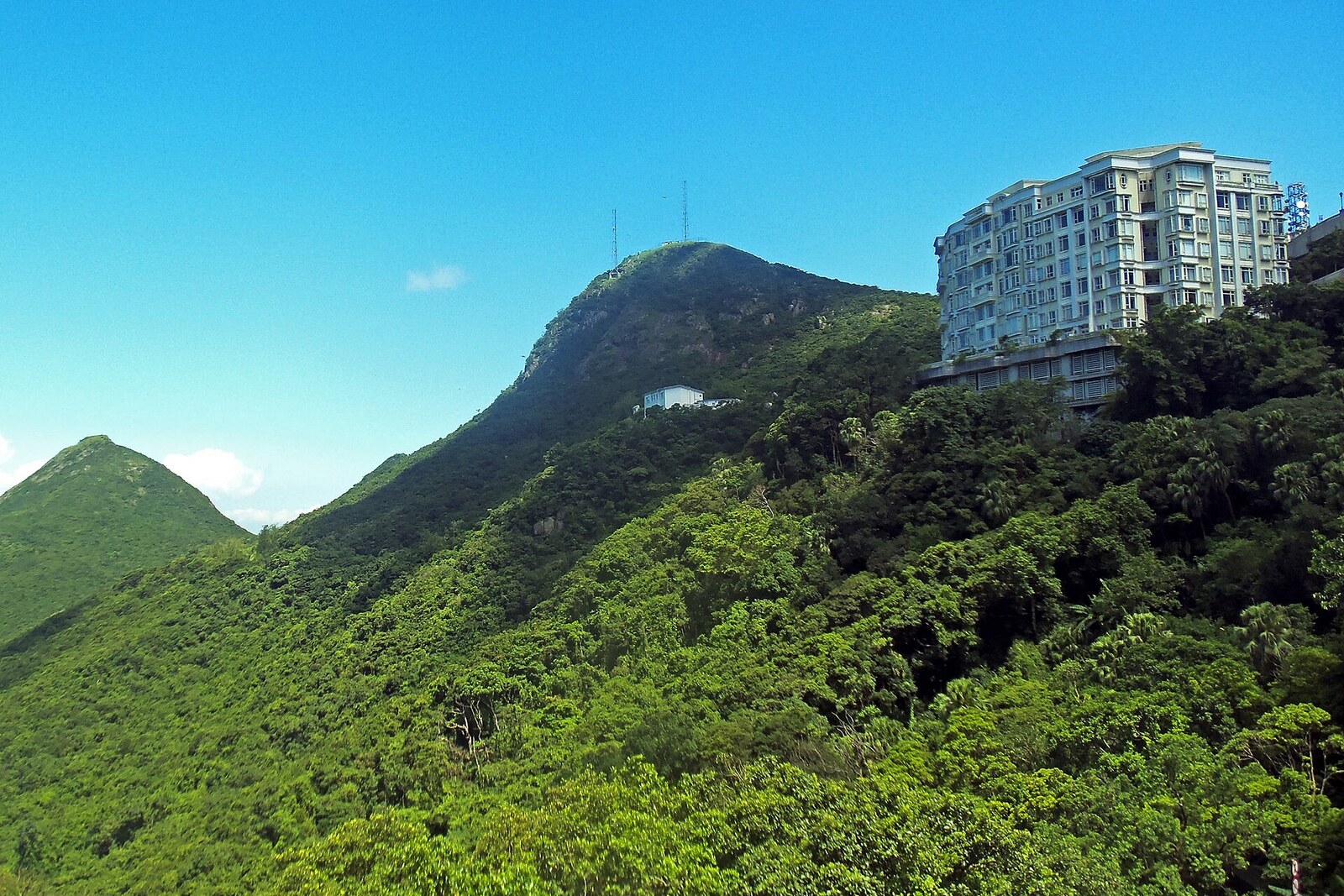 The forest-covered mountain summit of High West and the nearby Peak, rising above the station building.