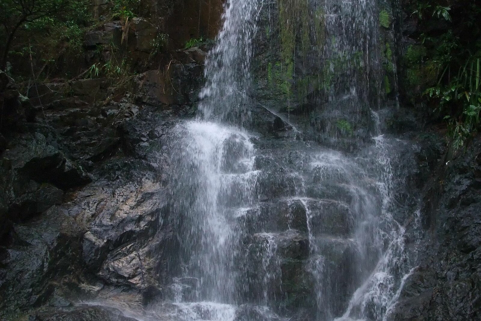 A stream of water flows through a rocky cleft beside the road, surrounded by ferns and moss.
