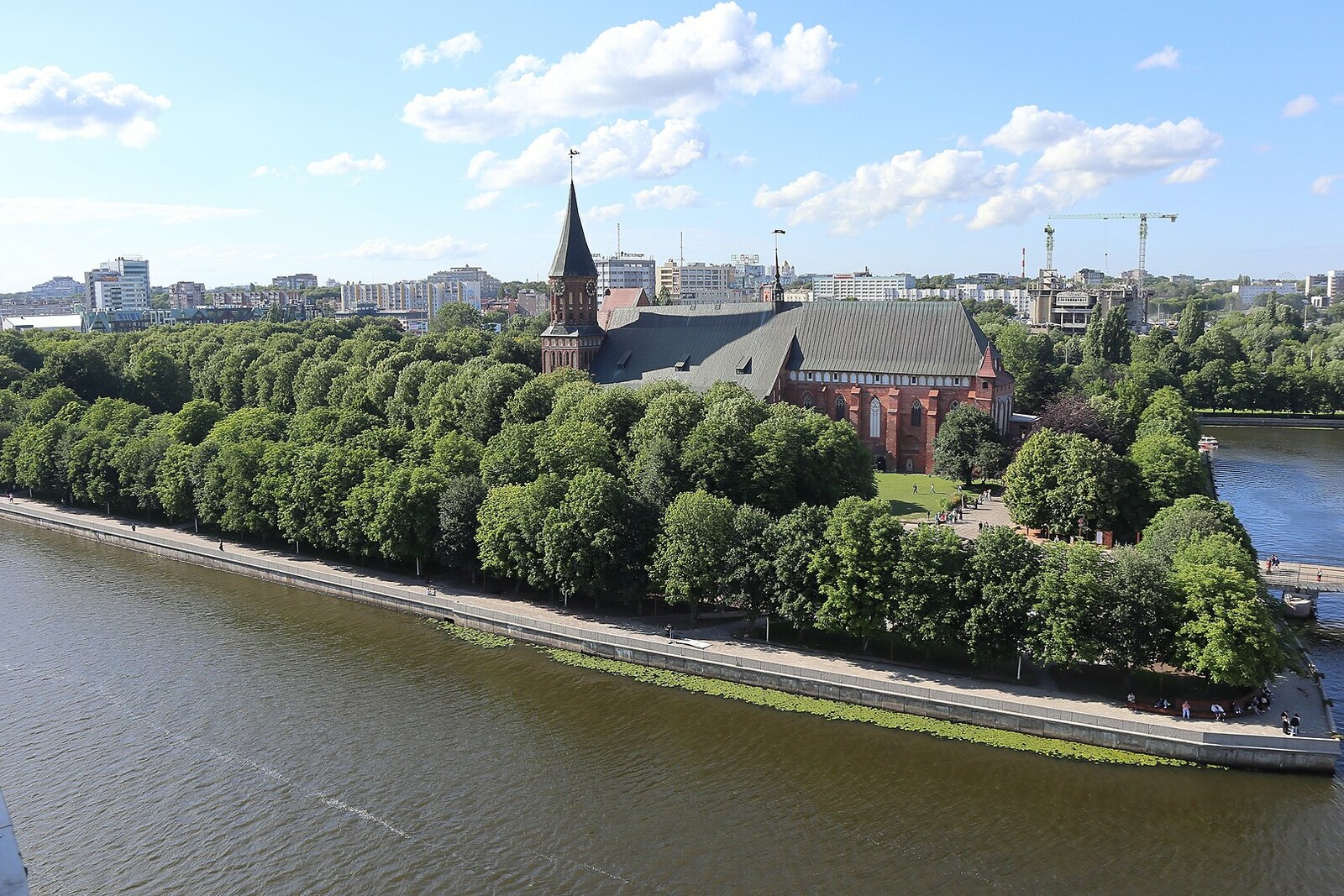 Tree canopies and lawns of Kant Island with the cathedral on the horizon.