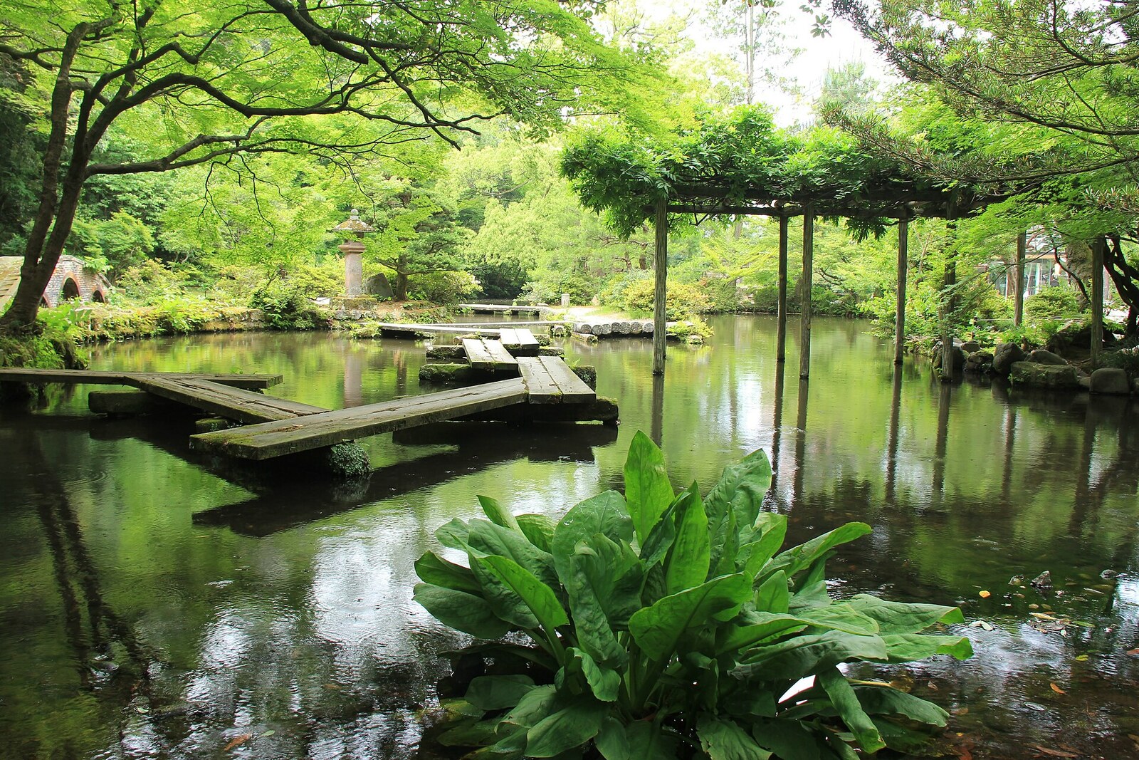 Oyama Jinja Shrine in Kanazawa, with traditional buildings and trees.