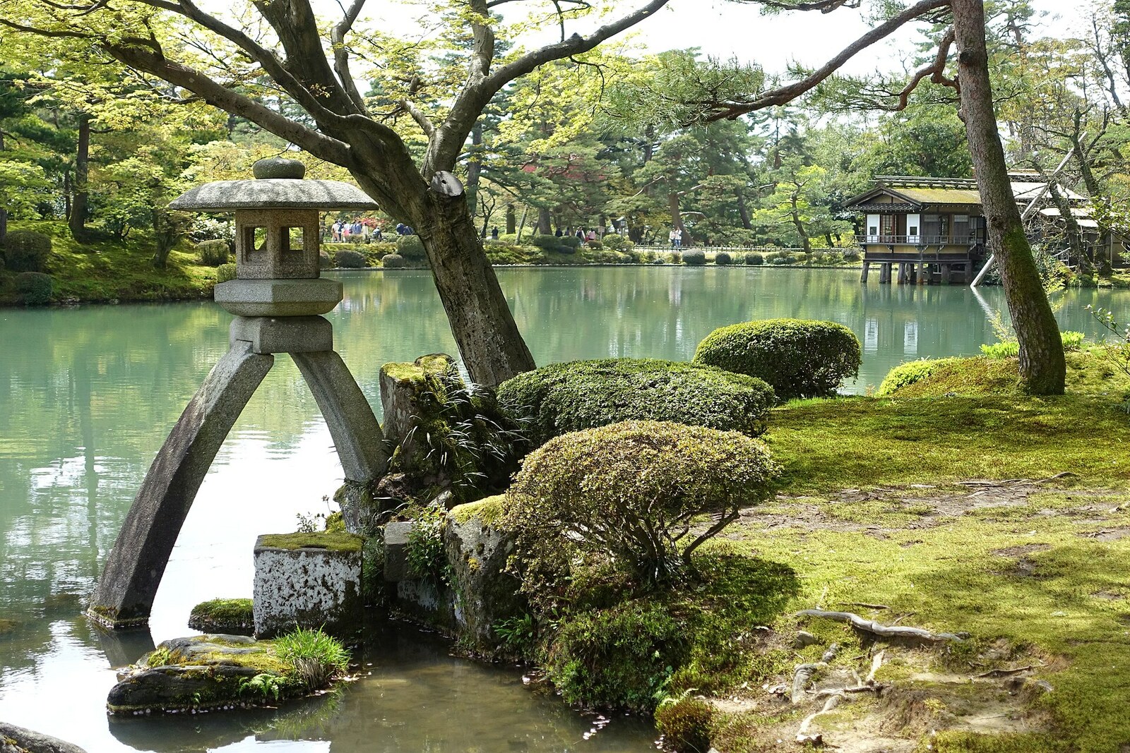 Kotoji Lantern in Kenrokuen Garden, by the water and pine trees.