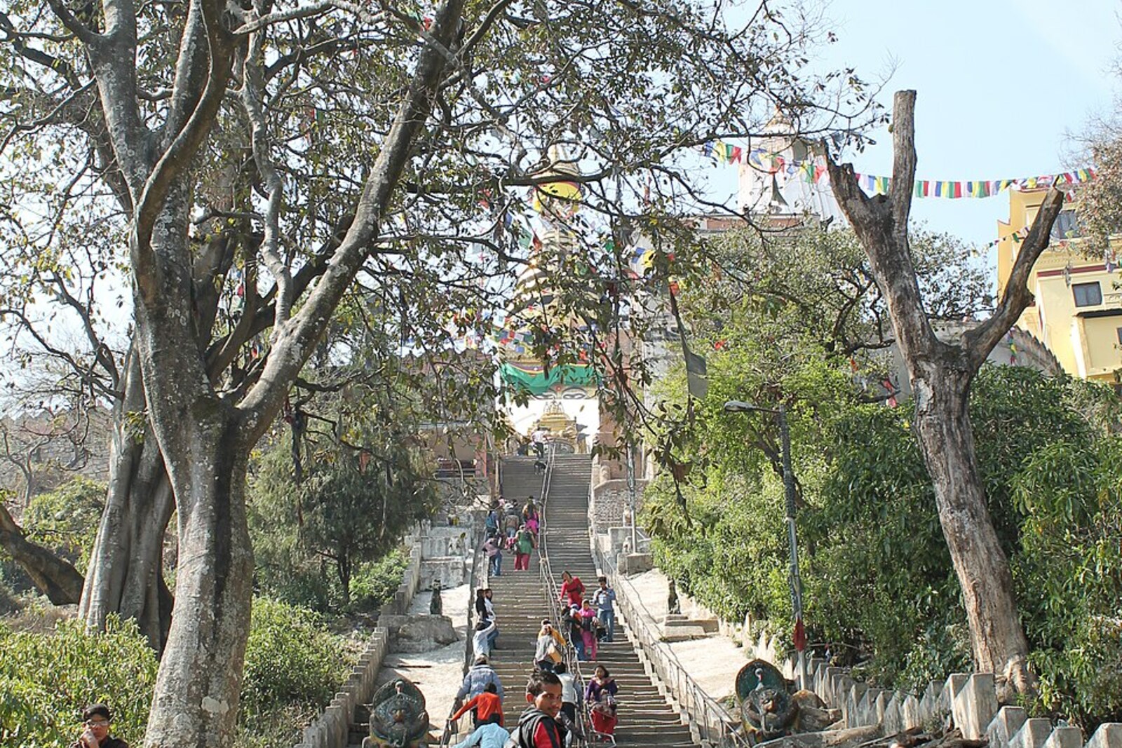 Eine lange Treppe führt zum Swayambhunath-Tempel, ist mit Gebetsfahnen bedeckt und von Grün umgeben.
