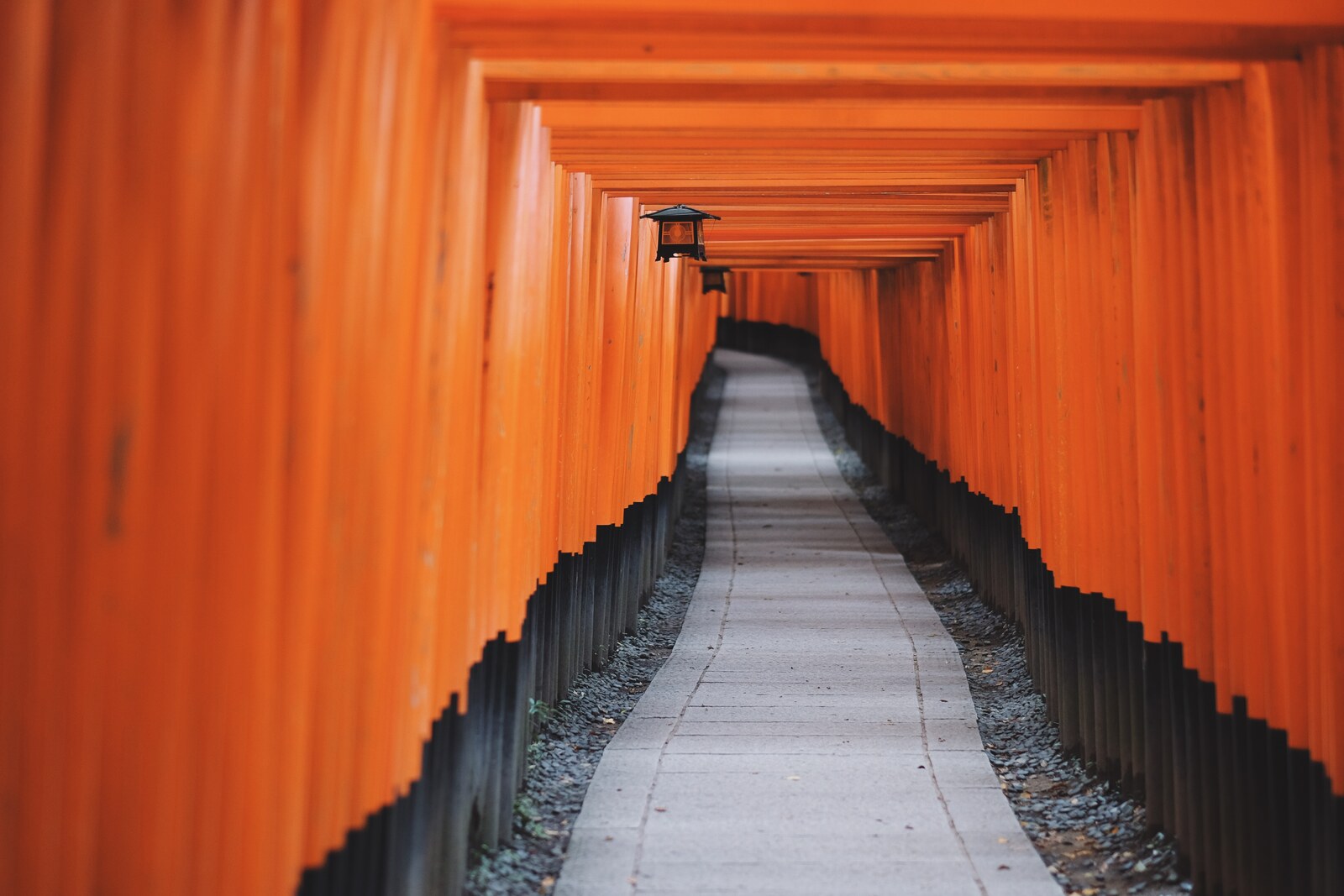 View inside a tunnel of red torii gates