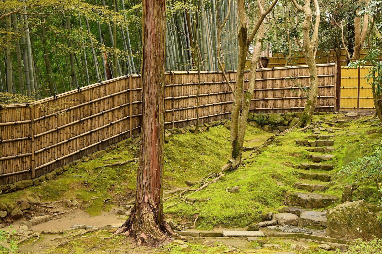 The Silver Pavilion and its reflection in the pond