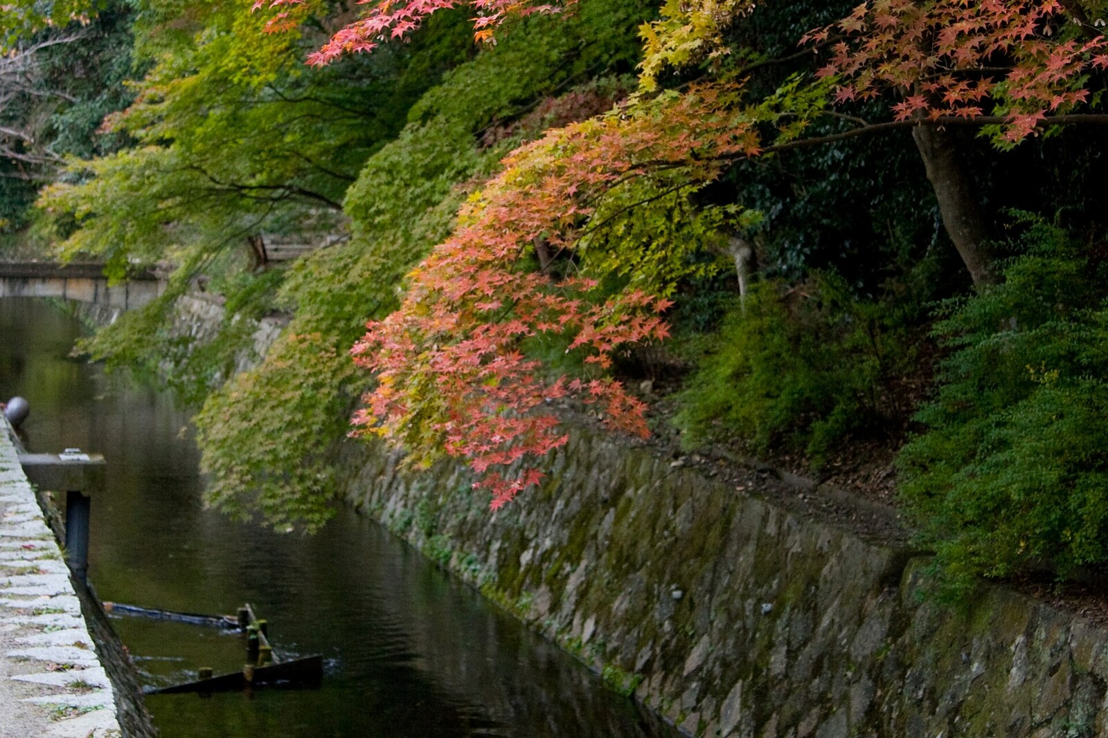 The canal along Philosopher's Path with red leaves beside the walkway
