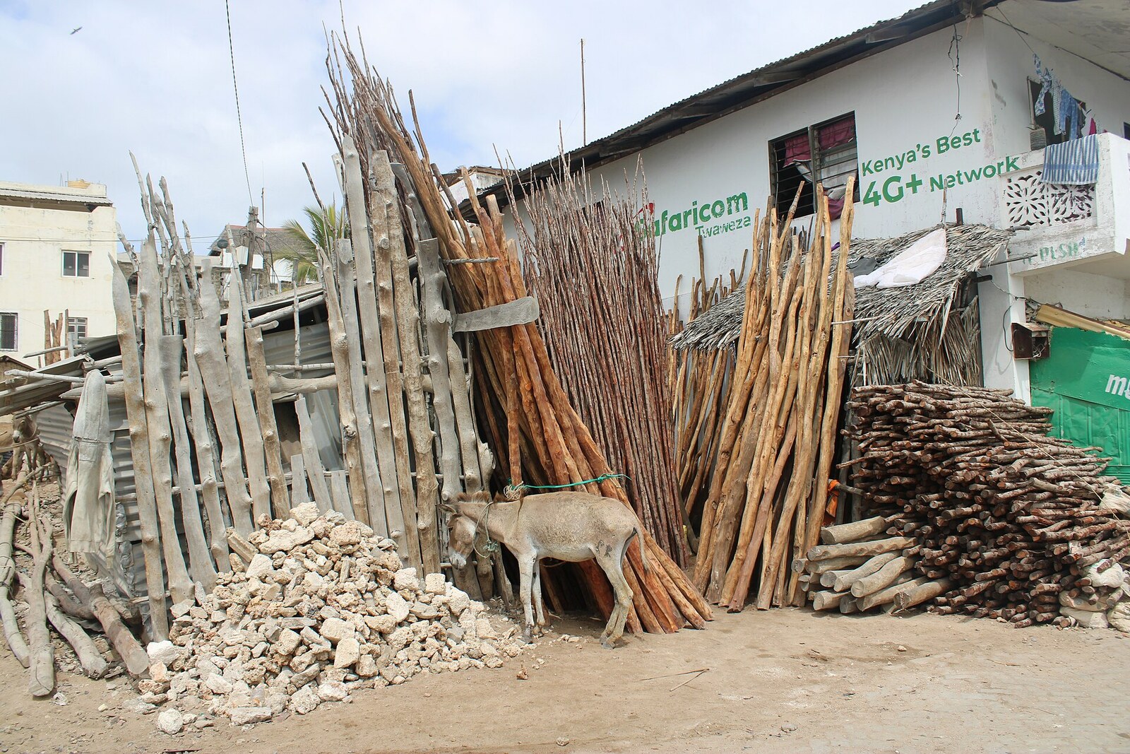 Bundles of mangrove poles on the Lamu waterfront.