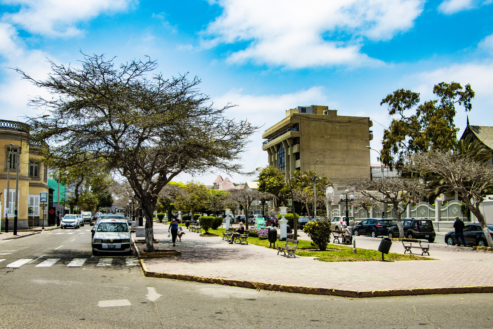 Third block of Avenida Sáenz Peña in Barranco near Dédalo: an avenue, trees, and historic facades; a contextual photo, not the gallery facade.