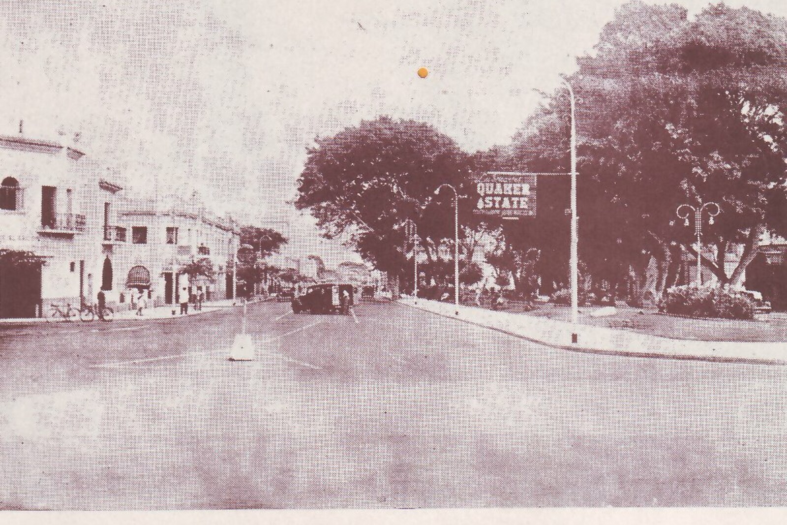José Larco Avenue with shops, palm trees, and passersby