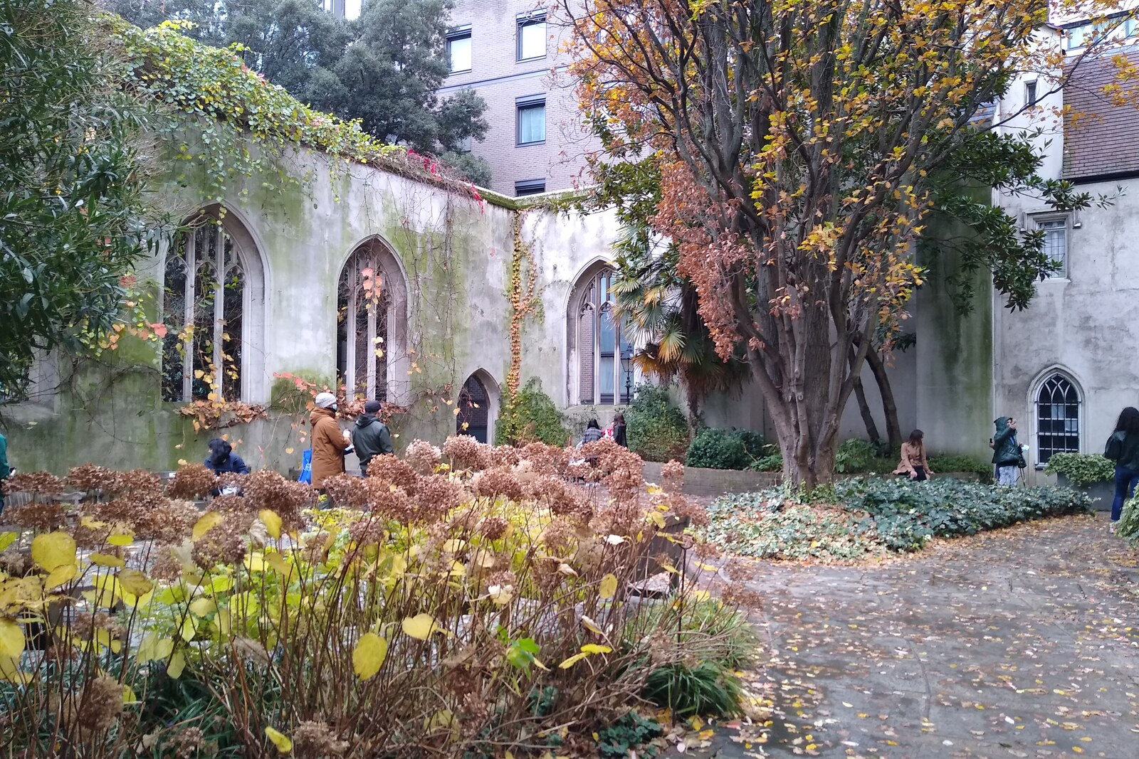 St Dunstan-in-the-East: a garden in the ruins