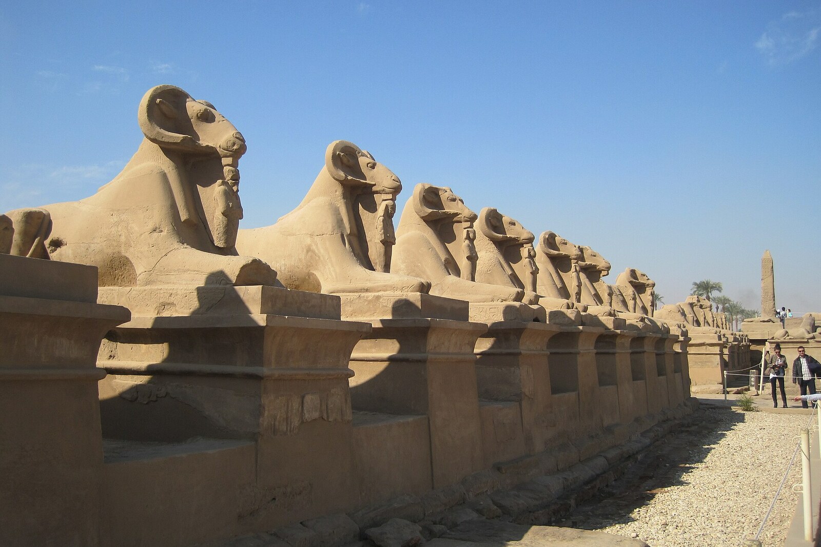 Sphinxes at the northern end of the road between Karnak and Luxor Temple.