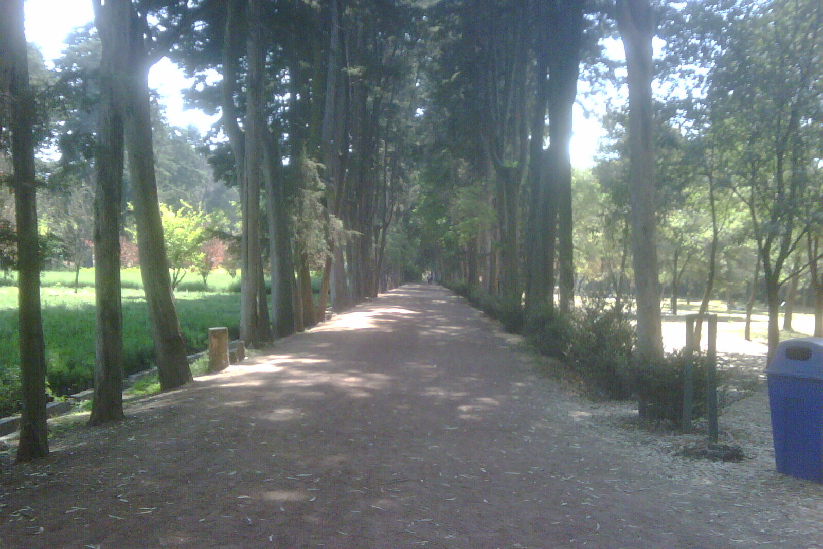 Viveros de Coyoacán