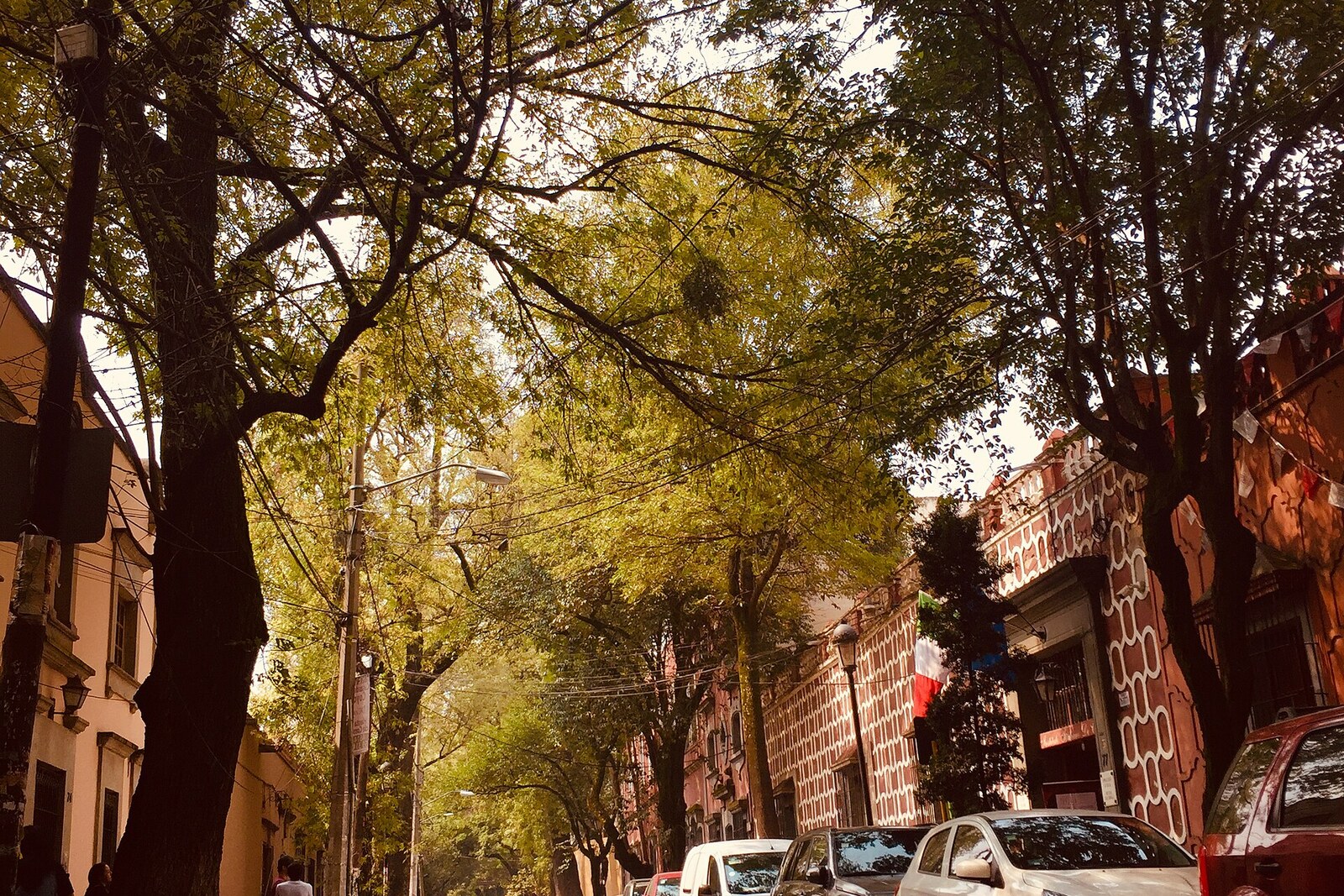 Avenida Francisco Sosa