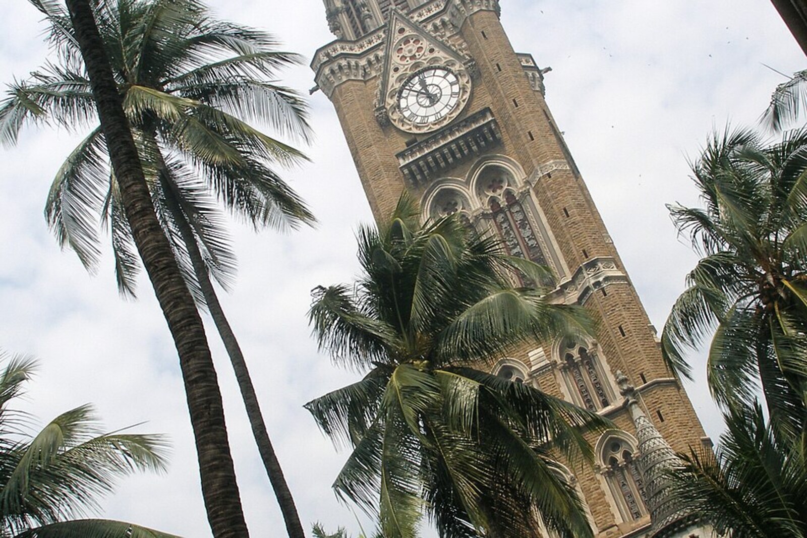 Rajabai Clock Tower above the trees