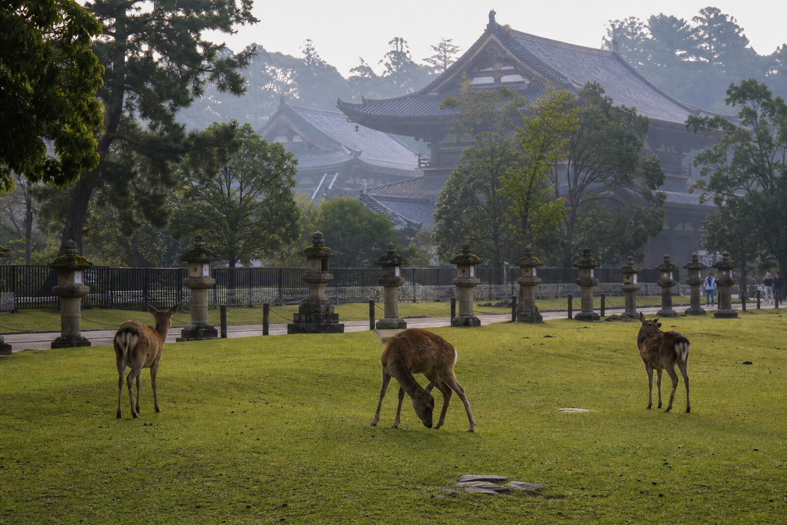 Generated editorial hero image for the city of Nara