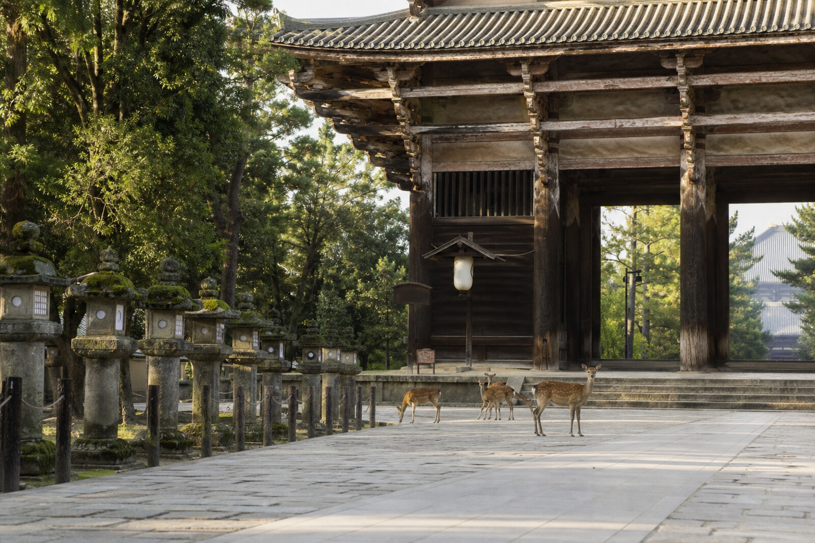 Generated editorial route cover: Tōdai-ji Temple gate, stone lanterns, deer, and the edge of Kasugayama Primeval Forest.