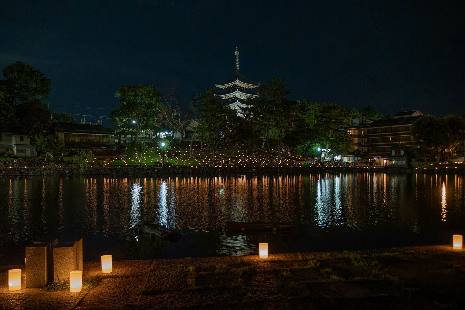 Sarusawa Pond by Kōfuku-ji Temple.