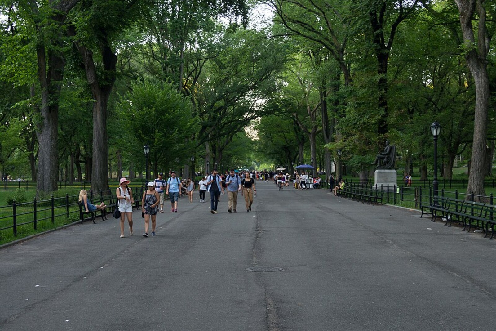 A wide pedestrian avenue in Central Park, lined with tall elms, where people are walking