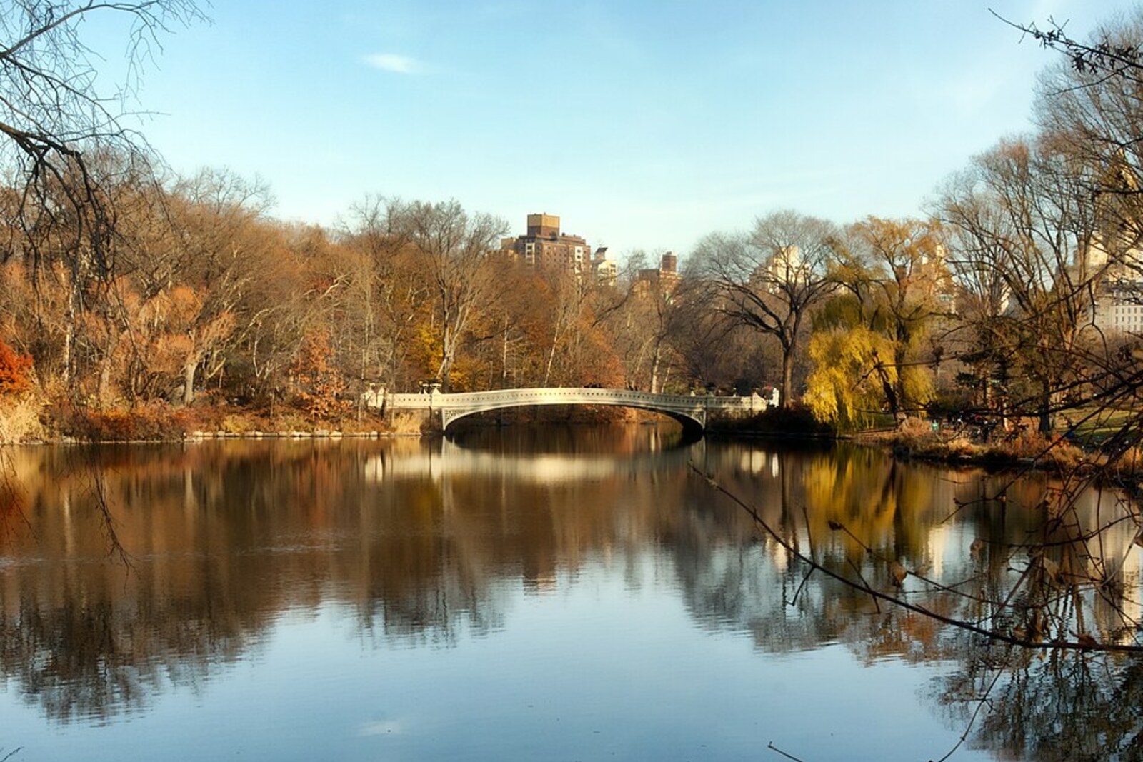 An elegant white cast-iron Bow Bridge over The Lake, surrounded by green trees and high-rises on the horizon