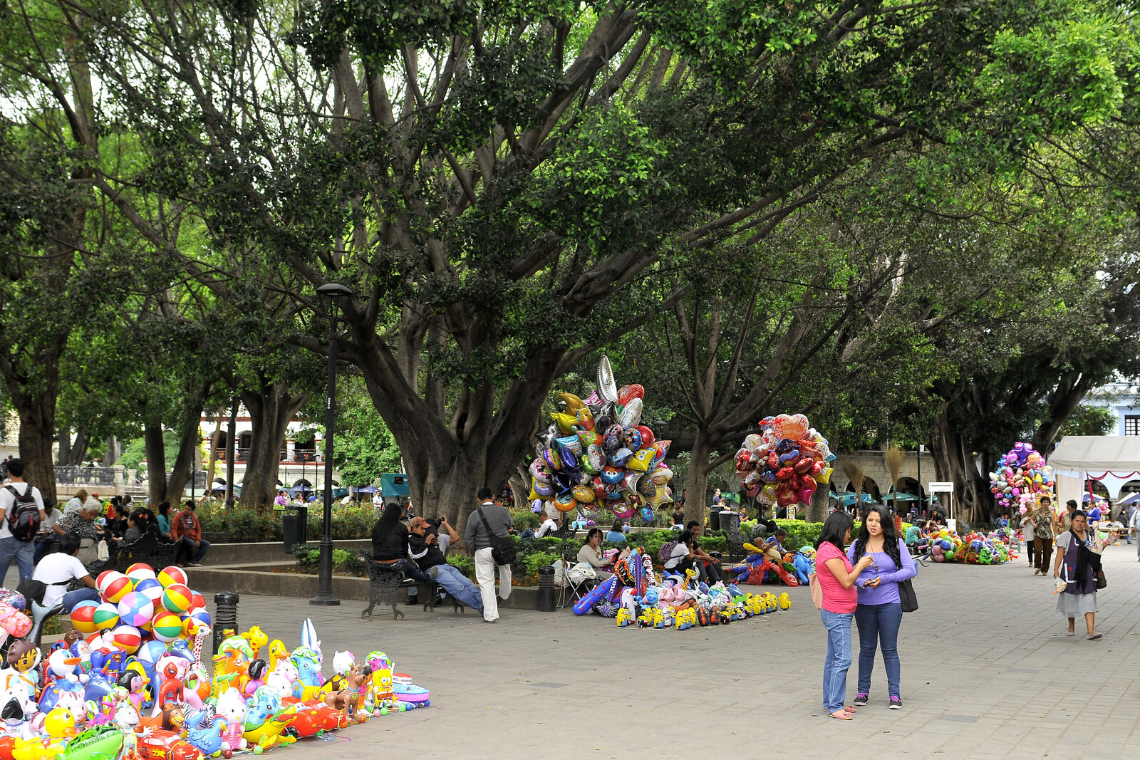 People and street vendors beneath large trees in the Zócalo de Oaxaca.
