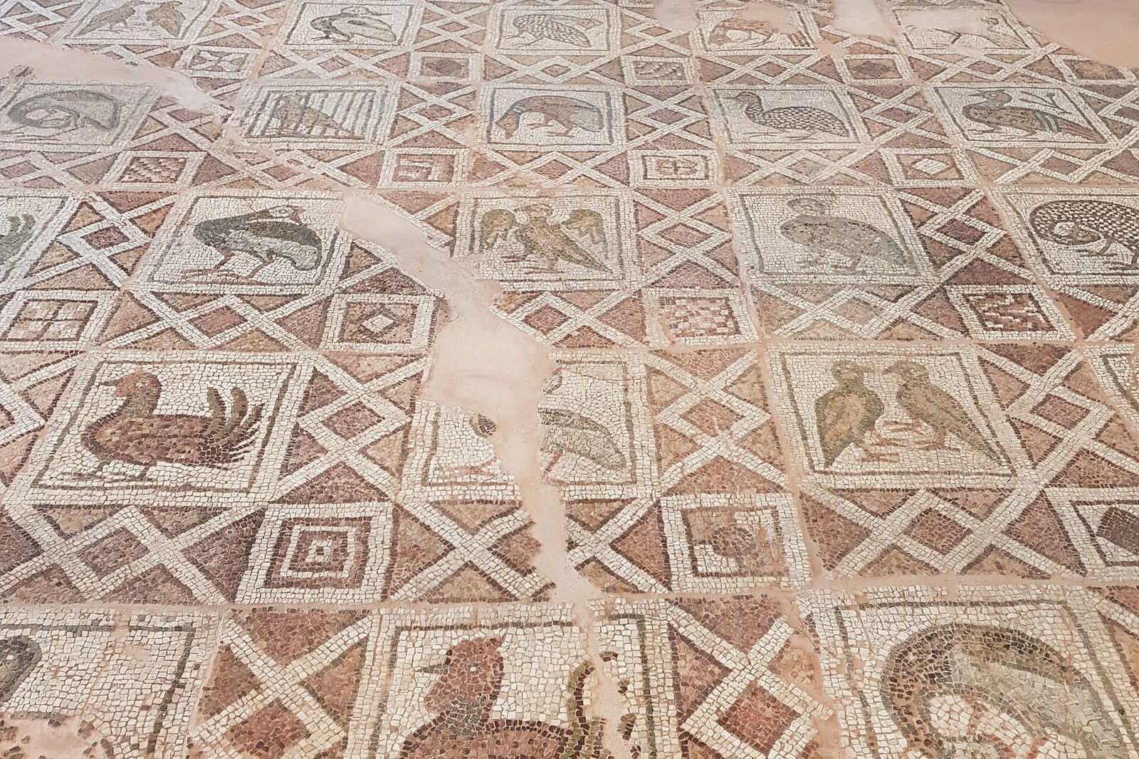 Mosaic floor of the Bishop's Basilica of Philippopolis with geometric panels and images of birds