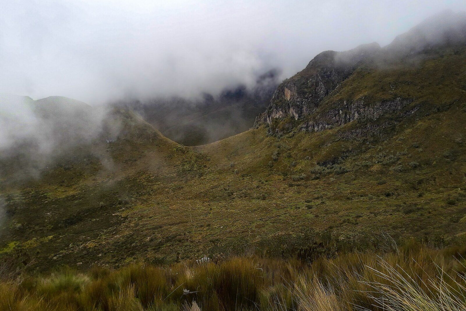 Páramo on the slope of Pichincha: clumps of grass and open sky.