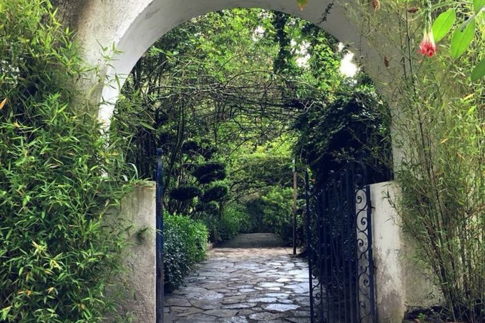 Green Guápulo park with paths and vegetation