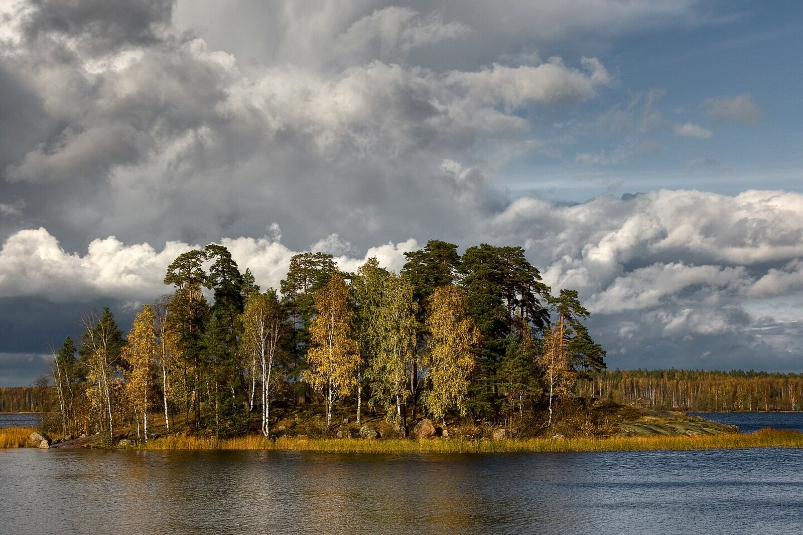 Rocks and water in Monrepos Park