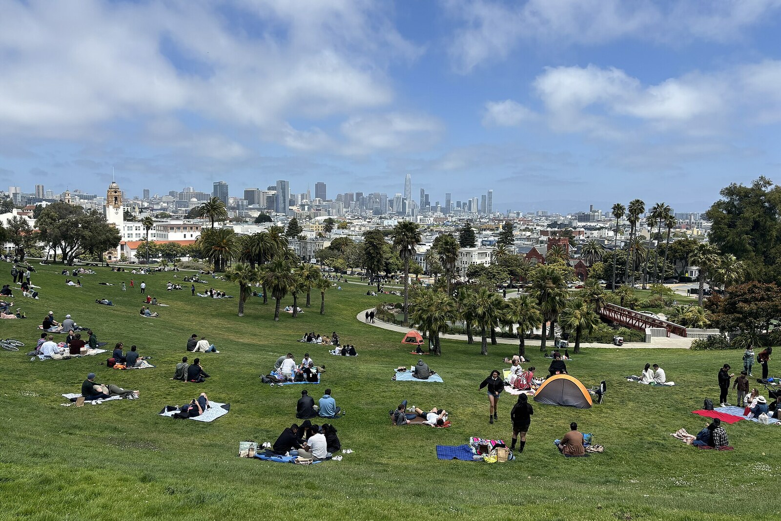 The sunny slope of Mission Dolores Park, with palm trees and the San Francisco skyline in the distance.