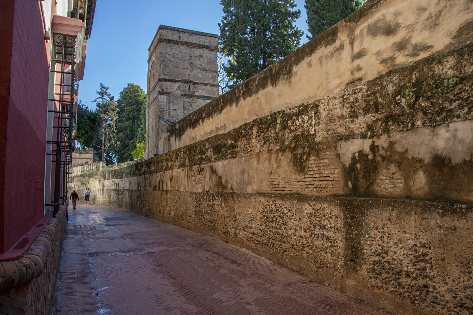 The narrow Callejón del Agua along the old wall of the Royal Alcázar of Seville, with paving slabs and an orange tree.