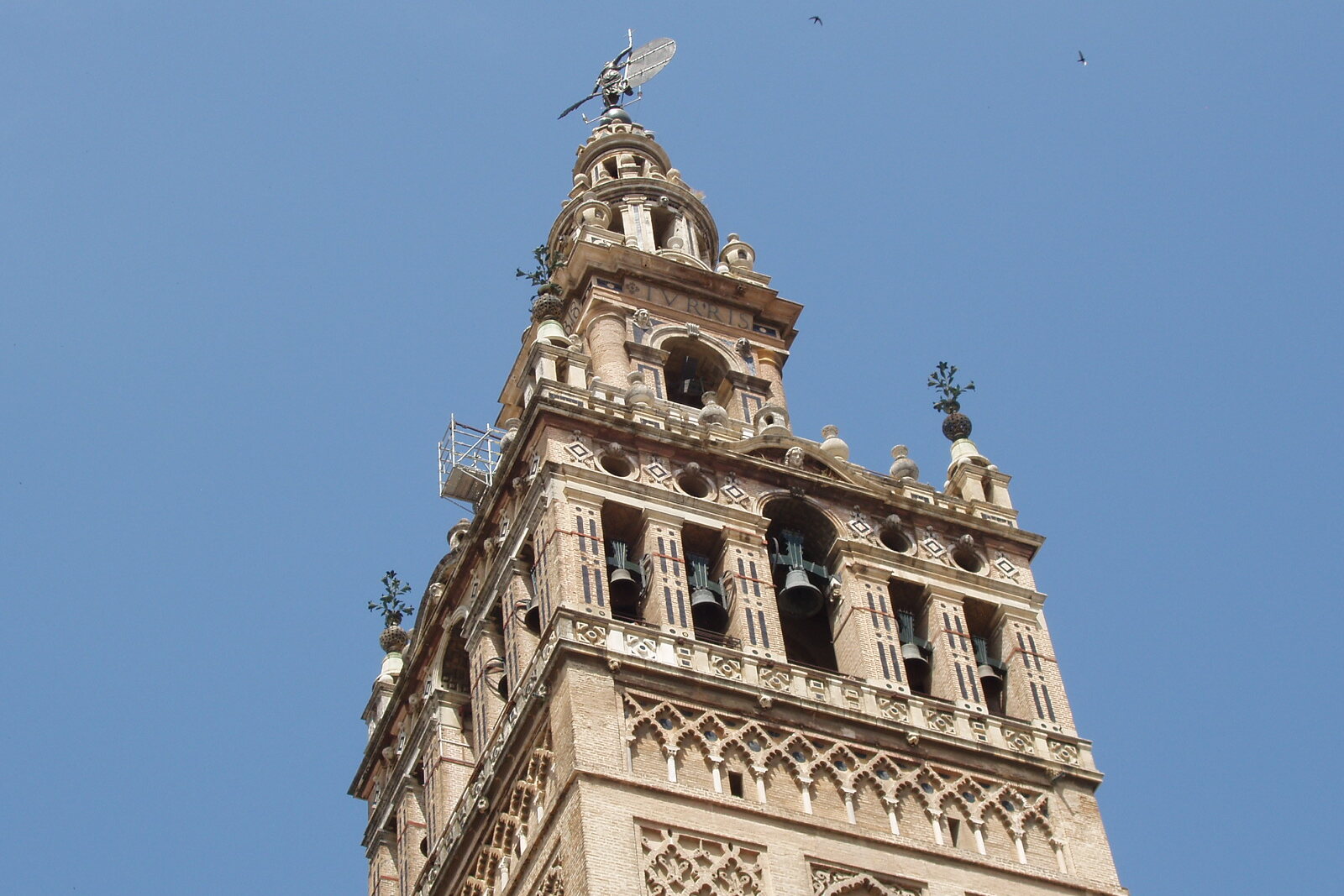The Giralda in Seville